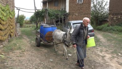 Photo of Старецот Благоја Нешкоски на магаре носи вода за полевање на бавчите