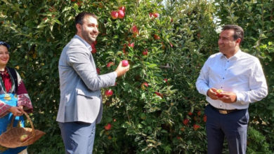 Photo of Првите јаболка ги откинаа Заев, Хоџа и Гошаревски