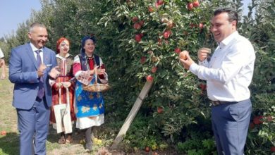 Photo of Заев најави субвенција од плус три денари за индустриското јаболко