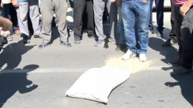 Photo of Оризопроизводителите бараат спас од Заев