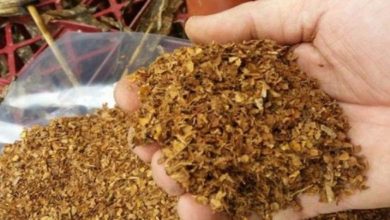 Photo of Во фирма во Струмица пронајдени 330 килограми режан тутун без бандерола