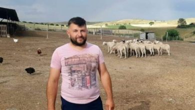 Photo of Мартин Тасев не замина во странство, создаде фарма со 400 грла овци