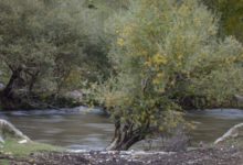 Photo of Променливо облачно и релативно топло со повремени локални врнежи од дожд