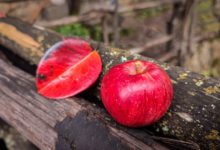 Photo of Студено утро-Преку денот променливо облачно со сончеви периоди