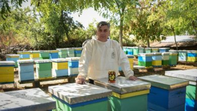 Photo of Марјан Арсов од Пробиштип има пчеларници како аптека