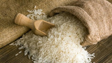 Photo of Привршува жетвата на оризот во Кочанско