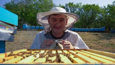 Photo of Лазо Крумов-Ние за пчелите, медено за сите!