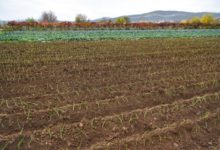 Photo of Променливо облачно со локални врнежи од дожд, особено претпладне