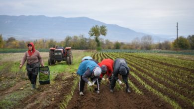 Photo of Македонските производители (не)информирани за земјоделските иновации