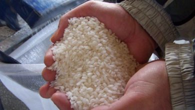 Photo of Заврши најдолгата жетва на ориз во последните 30 години