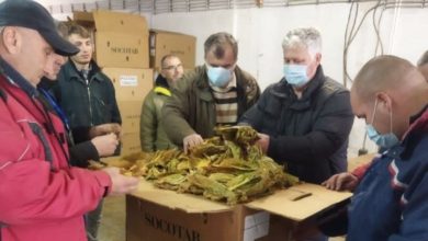 Photo of До вчера откупени 12,615 тони тутун по просечна цена од 191,84 денари, изјави Шапуриќ