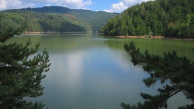 Photo of Дојранско, Тиквешко и Беровско Езеро се многу загадени, покажа мониторингот