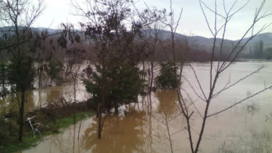 Photo of Се излеа Крива река во Довезенце