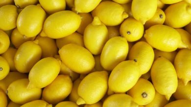 Photo of Сите го јадеме лимонот свеж, но постои многу поздрав и подобар начин
