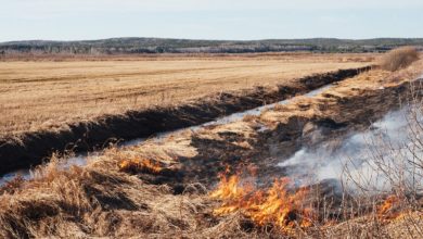Photo of Полињата во Кочанско во пламен, пожарникарите гневни на земјоделците