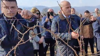 Photo of Премиерот Ковачевски: Грижата за земјоделците и конкретно за лозарите е постојана, затоа резултатите се видливи