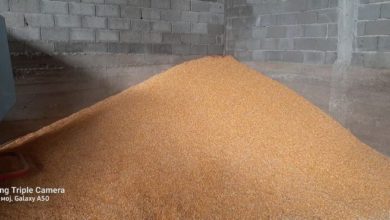 Photo of Домашните млинови имаат залиха од 45.000 тони пченица