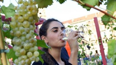 Photo of Натпревар за најдобри вина и ракии и натпревар во закројување лози во Демир Капија