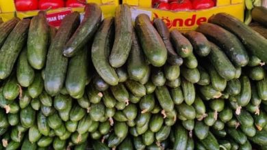 Photo of Тежи пазарот во Битола од свежи зеленчук и овошје