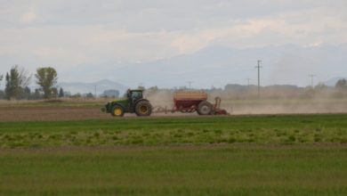 Photo of Од денеска државното земјиште на располагање на земјоделците, до 3 хектари