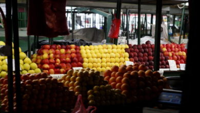 Photo of Земјоделците стравуваат за извозот на овошјето – „Ова е шанса за пренасочување на извозот кон европските пазари“