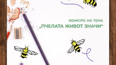 Photo of Конкурс за ликовна и литературна творба (поезија) на тема „Пчелата живот значи“