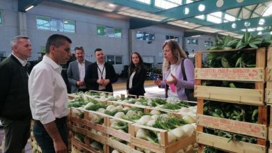 Photo of Во Македонија ќе се гради голем логистичко откупен центар за овошје и зеленчук