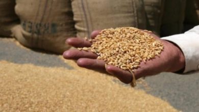 Photo of Цената на пченицата во Африка се зголеми за 60 отсто поради војната во Украина