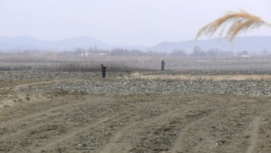 Photo of Голем дел од земјоделците се уште размислуваат дали воопшто ќе сеат ориз