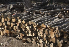 Photo of Во Демирхисарско се апсат дрвокрадци, пустош ја направиле коријата