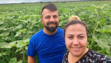 Photo of Ердован и Емине Исламоски-Дождот е добредојден за сончогледот, очекуваме приноси од над 2 тони по хектар