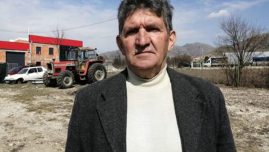 Photo of Асоцијација на земјоделци: Македонија лесно може да стане независна од увоз на пченица од странство