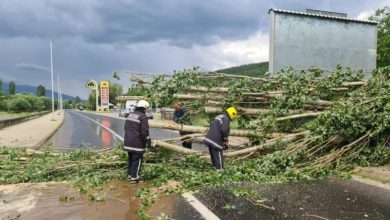 Photo of Невремето откорна дрвја и попречи патишта во Кривопаланечко