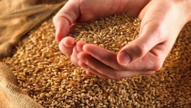 Photo of Украина може да испорача 60 тони жито за 8-9 месеци