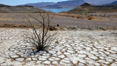 Photo of Италија прогласи вонредна состојба поради сушата