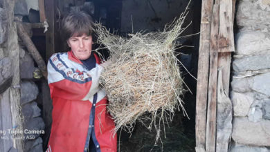 Photo of Младенова-Тешко е да се работи земјоделие затоа треба да биде добро платено