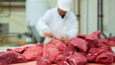 Photo of Инфлацијата притиска: Французите веќе не јадат говедско, туку евтино свинско месо