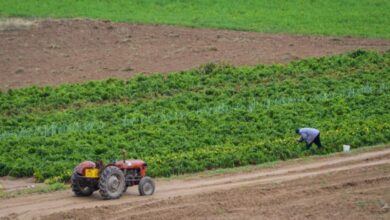 Photo of Прилепчанец украл трактор од земјоделец од Мусинци, полицијата го фатила кај Ропотово
