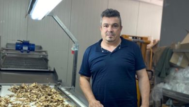 Photo of Печурките на компанијата „Аерус“ од Пробиштип го освоија европскиот пазар