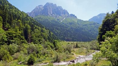 Photo of Се откажува изградбата на 25 мали хидроцентрали во Националниот парк „Шар Планина“