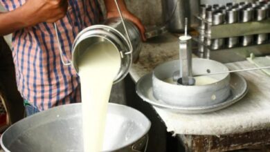Photo of Млекото да се откупува по 39 денари, ако не сточарите на протести