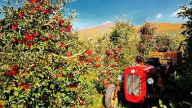Photo of Фото на денот – Црвен трактор, црвено јаболче!