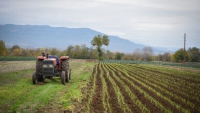 Photo of Земјоделците во Србија ќе аплицираат за субвенции преку интернет