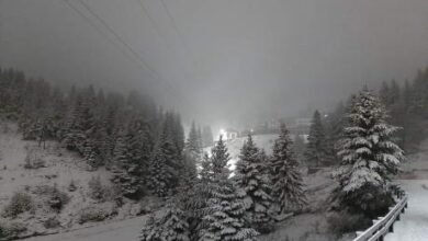 Photo of Снег на Шар Планина