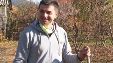 Photo of Во Швајцарија ќе се јадат македонските органски лешници произведени од млади и успешни земјоделци