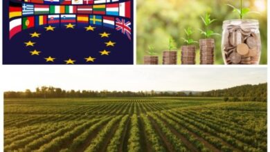 Photo of 270 милијарди евра земјоделски субвенции за земјите членки на ЕУ, за период 2023 – 2027 година