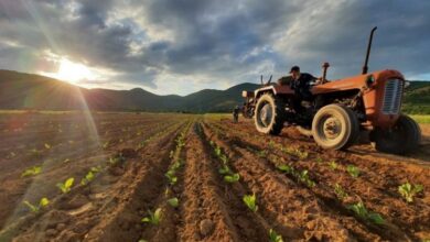 Photo of ЕУ ќе ги окрупнува расцепканите земјоделски земјишта во Македонија