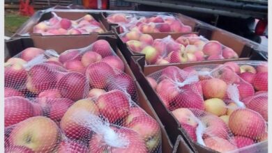 Photo of Нема трага од 45 тони јаболка вратени од Русија, но властите смируваат, пишува Плус инфо