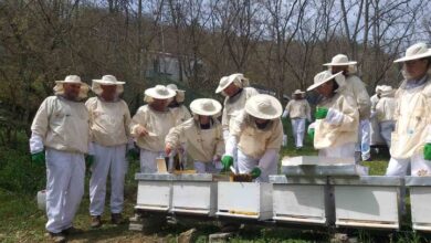 Photo of „Меден Исток“ организира нов циклус на обуки за основно пчеларство на одржлив начин