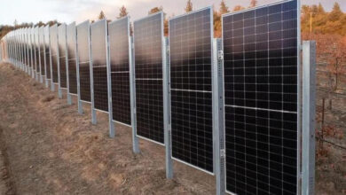 Photo of Вертикални соларни панели кои може да го трансформираат земјоделието